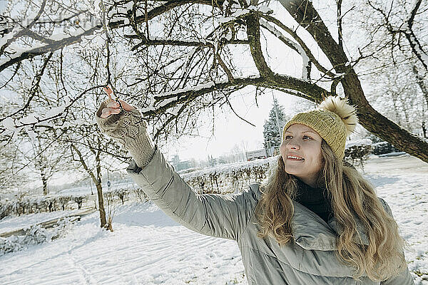 Glückliche Frau berührt schneebedeckte Baumzweige