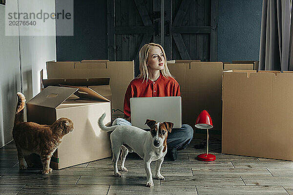 Nachdenkliche Frau sitzt mit Laptop und Haustieren in der Nähe von Kartons