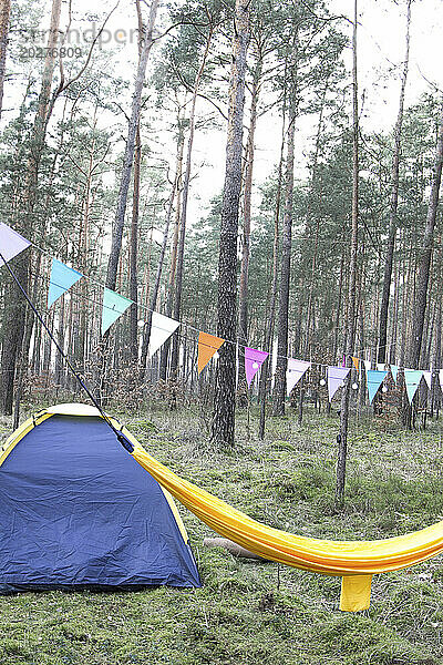 Waldcampingplatz mit Zelt  Hängematte und Wimpel