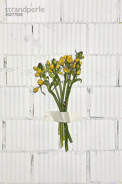 Strauß gelber Blumen auf weißer Betonwand