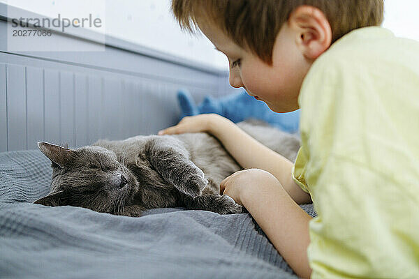 Boy petting cat lying on bed at home