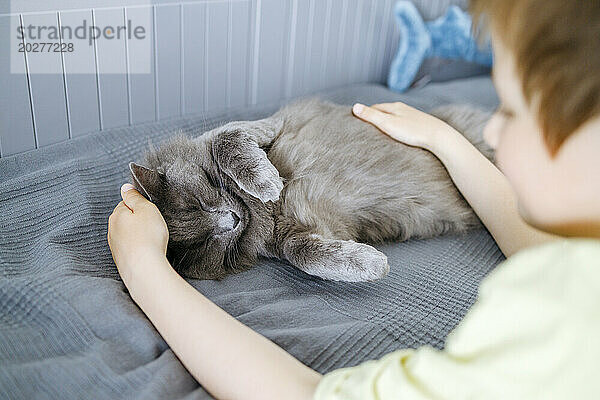 Boy taking care of cat relaxing on bed at home
