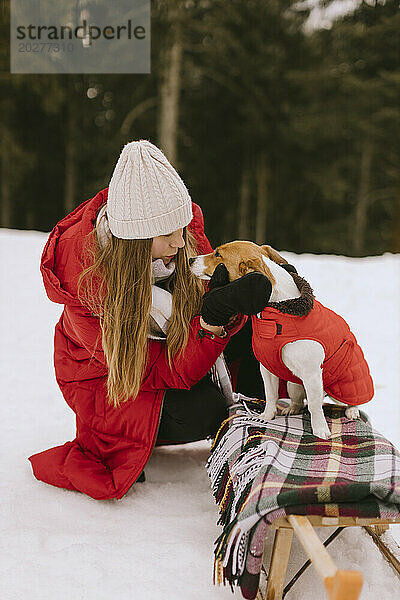 Frau streichelt Hund  der auf Schlitten im Winterwald sitzt