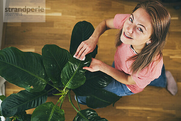 Smiling woman cleaning leaves of houseplant at home