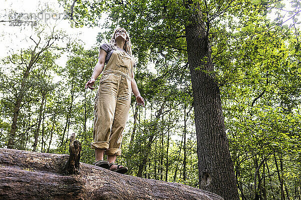 Junge Frau steht auf einem Baumstamm im Wald