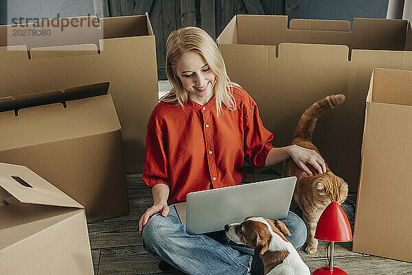 Glückliche Frau benutzt Laptop und streichelt Katze in der Nähe von Kartons