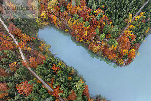 Deutschland  Baden-Württemberg  Luftaufnahme des Herrenbacher Stausees und des umliegenden Waldes im Herbst
