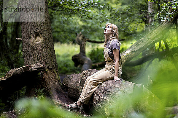 Nachdenkliche Frau sitzt auf einem Baumstamm im Wald