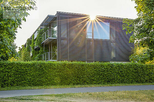 Grünes Gebäude in München  Bayern  Deutschland an einem sonnigen Tag