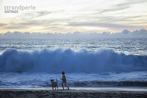 Mexiko  Baja  Pescadero  Silhouette eines Jungen und eines Hundes am Strand in der Abenddämmerung