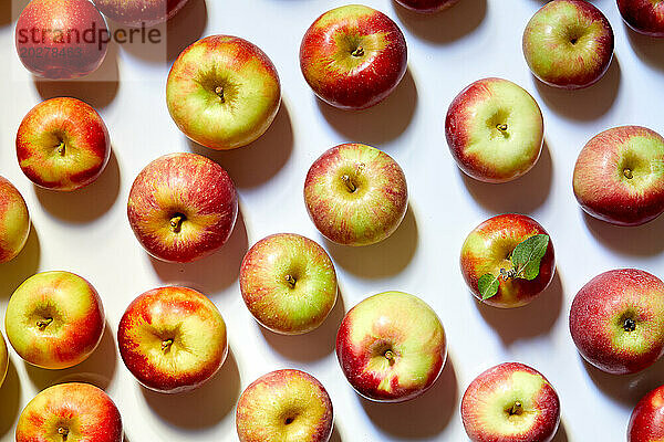 Draufsicht auf Äpfel auf weißem Hintergrund