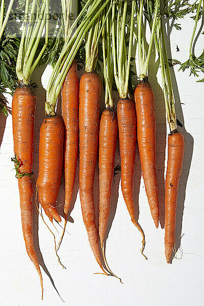 Draufsicht auf Karotten auf weißem Hintergrund