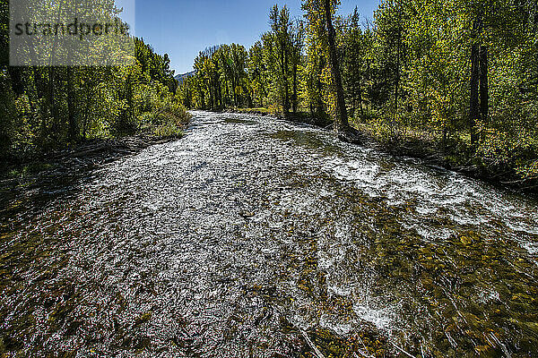 USA  Idaho  Big Wood River im Herbst im Sun Valley