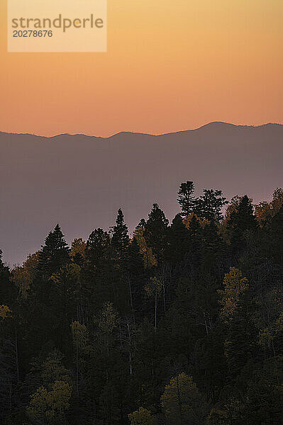 USA  New Mexico  Santa Fe  Wald und Sangre De Cristo Mountains bei Sonnenuntergang