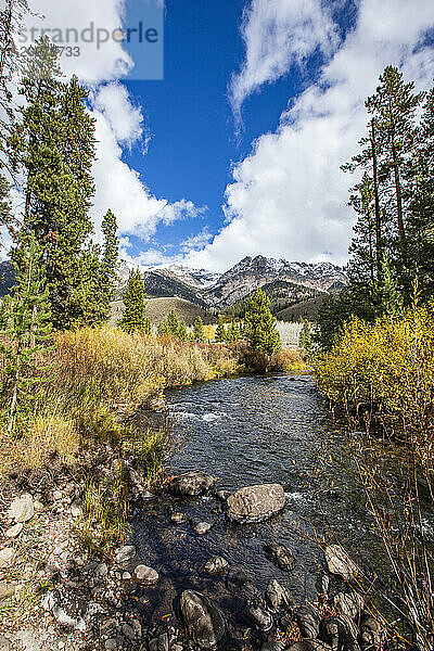 USA  Idaho  Big Wood River rauscht durch den Wald in der Nähe von Sun Valley