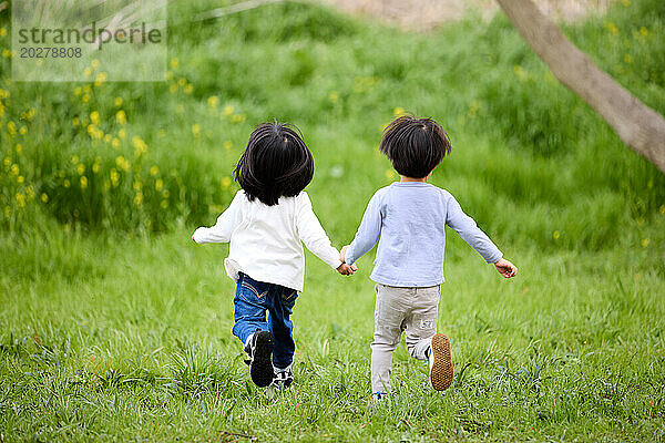 Zwei kleine Kinder laufen durch ein Feld