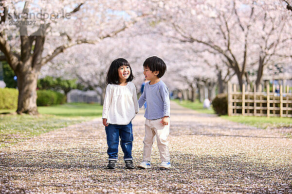 Zwei Kinder stehen vor einem Baum mit Kirschblüten