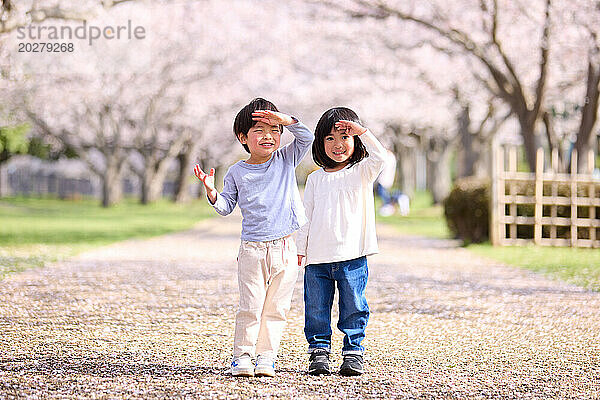Zwei Kinder stehen vor einem Baum mit Kirschblüten