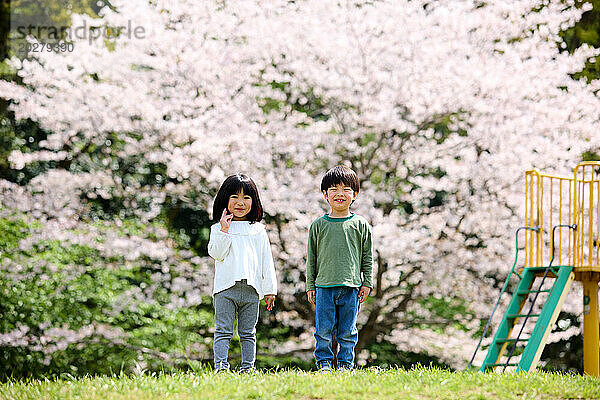 Zwei Kinder stehen vor einem Baum mit rosa Blüten
