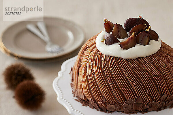Ein Schokoladenkuchen auf einem weißen Teller