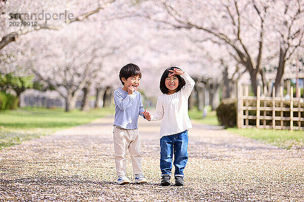 Zwei Kinder stehen in einem Park unter Kirschblüten