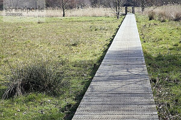 Ein Holzsteg über ein nasses  sumpfiges Feld  der ein Kunstwerk bildet High Water Mark 2048 von Jonathan Keep  Snape  Suffolk  England  UK