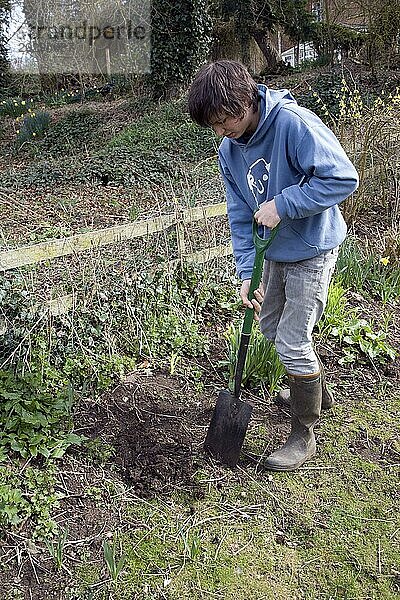 Modell freigelassener Jugendlicher gräbt Loch im Garten  England  UK