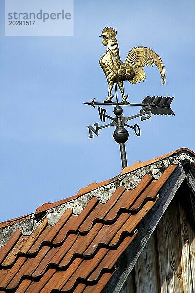 Goldener Wetterhahn