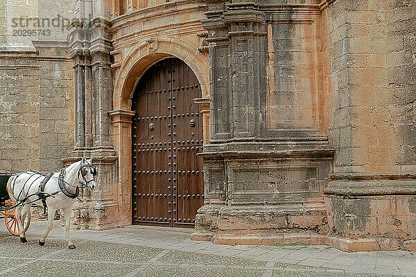 Eine Pferdekutsche mit einem weißen Pferd fährt an der Tür einer Kirche mit einer imposanten Steinfassade vorbei