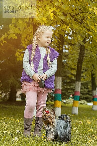 Niedliches kleines blondes Mädchen geht mit Yorkshire Terrier im Park spazieren