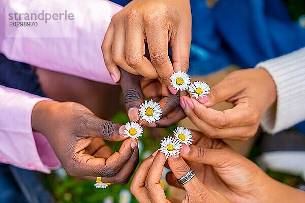 Draufsicht auf drei unerkennbare afrikanische junge Freundinnen  die Blumen halten und sich im Kreis aufstellen