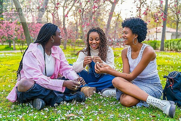 Afrikanische Freunde  die im Frühling in einem Park voller Blumen im Gras sitzen und sich unterhalten