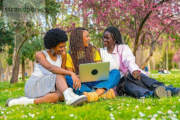 Glückliche afrikanische Freundinnen  die einen Laptop benutzen und im Frühling in einem Park sitzen