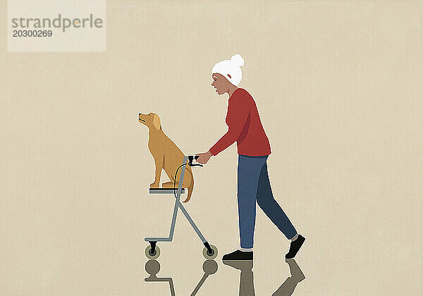 Aktive Seniorin schiebt Hund auf Gehhilfe