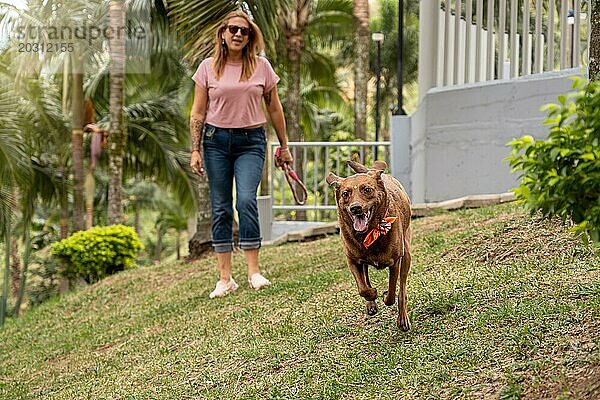 Der übermütige und fröhliche Hund läuft im Park mit einem bunten Halstuch auf die Kamera zu  während sein Besitzer ihn aus dem Hintergrund anfeuert