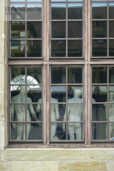 Von hinten Skulpturen  männliche Figuren  Abguss-Sammlung im Fenster von außen  Gipsabgüsse  Institut für Klassische Archäologie  Sprossenfenster  Schloss Hohentübingen  Museum der Universität Tübingen MUT  Hochschuleinrichtung  historisches Gebäude  Lernort  Renaissance-Anlage erbaut im 16. Jahrhundert  im Schlosshof  Eberhard Karls Universität Tübingen  Tübingen  Baden-Württemberg  Deutschland  Europa