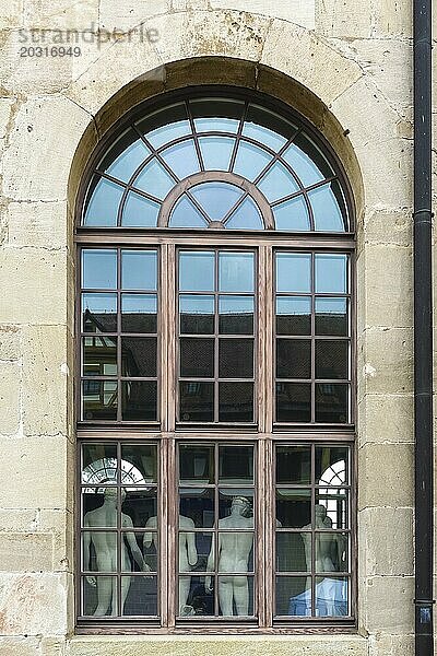 Von hinten Skulpturen  männliche Figuren  Abguss-Sammlung im Fenster von außen  Gipsabgüsse  Institut für Klassische Archäologie  Sprossenfenster  Schloss Hohentübingen  Museum der Universität Tübingen MUT  Hochschuleinrichtung  historisches Gebäude  Lernort  Renaissance-Anlage erbaut im 16. Jahrhundert  im Schlosshof  Eberhard Karls Universität Tübingen  Tübingen  Baden-Württemberg  Deutschland  Europa