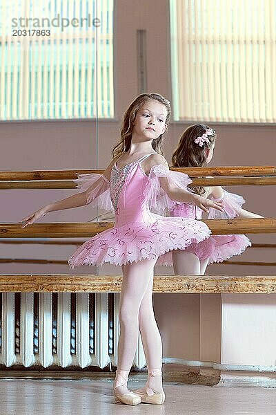 Studioaufnahme einer zierlichen Ballerina  die in einem rosa Tutu posiert