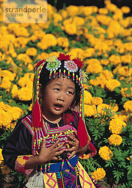 Thailand. Chiang Mai. Blumenfest. Kleines Mädchen in traditioneller Tracht steht auf einem Feld mit gelben Blumen.