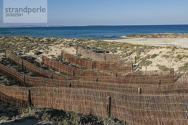 Barrieren zum Schutz der Dünen  Strand Llevant  Naturpark Ses Salines d?Eivissa i Formentera  Formentera  Pityusen  Balearische Gemeinschaft  Spanien  Europa