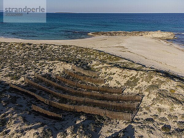 Barrieren zum Schutz der Dünen  Strand Llevant  Naturpark Ses Salines d?Eivissa i Formentera  Formentera  Pityusen  Balearische Gemeinschaft  Spanien  Europa