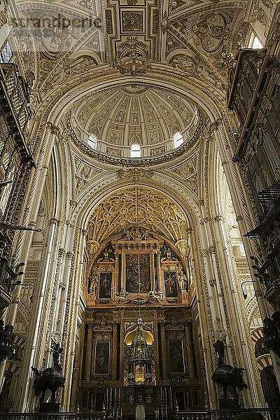 Das Kirchenschiff und architektonische Details an der Decke der Kathedrale der Moschee von Córdoba  Córdoba  Spanien  Europa