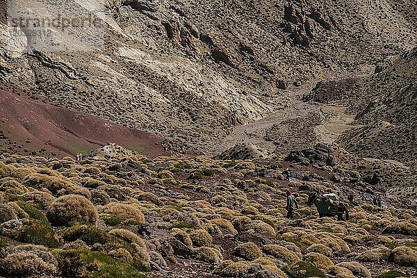 Abstieg vom Plateau de Tarkeddit zur Arous Schlucht  MGoun Trek  Atlasgebirge  Marokko  Afrika