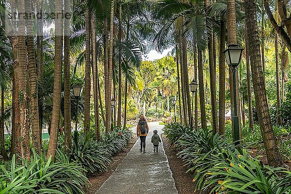 Eine Frau und ein Kind gehen einen Weg in einem Wald entlang. Der Weg ist von Palmen gesäumt und die Frau trägt einen Rucksack. Die Szene ist friedlich und heiter  als die Frau