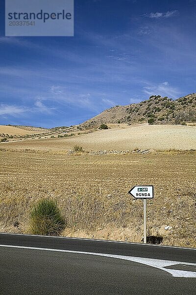 Schwarze Asphaltstraße und Straßenschild inmitten einer trockenen Landschaft  die die Richtung nach Ronda  Spanien  angibt  Europa