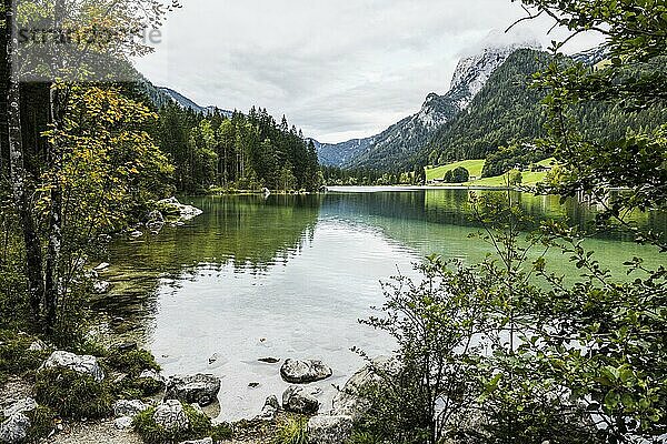 Hintersee  Ramsau  Watzmann  Nationalpark Berchtesgaden  Berchtesgadener Land  Oberbayern  Bayern  Deutschland  Europa