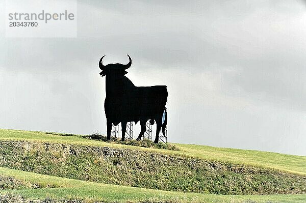 Baeza  Jaen Provinz  Silhouette einer Ochsen-Skulptur steht auf einem Feld unter einem stark bewölkten Himmel  Jaen Provinz  Andalusien  Spanien  Europa