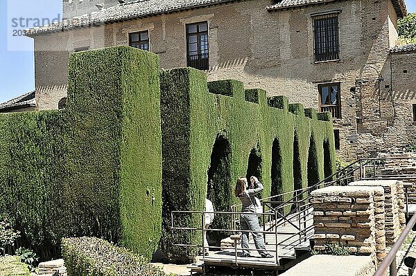 Patio de Machuca  Alhambra  Granada  Gartenweg mit dichten grünen Hecken und zwei Personen im Hintergrund  Granada  Andalusien  Spanien  Europa