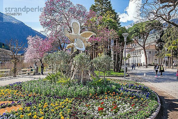Blumenrabatte auf der Kurpromenade im Frühling  Meran  Passertal  Etschtal  Burggrafenamt  Alpen  Südtirol  Trentino-Südtirol  Italien  Europa