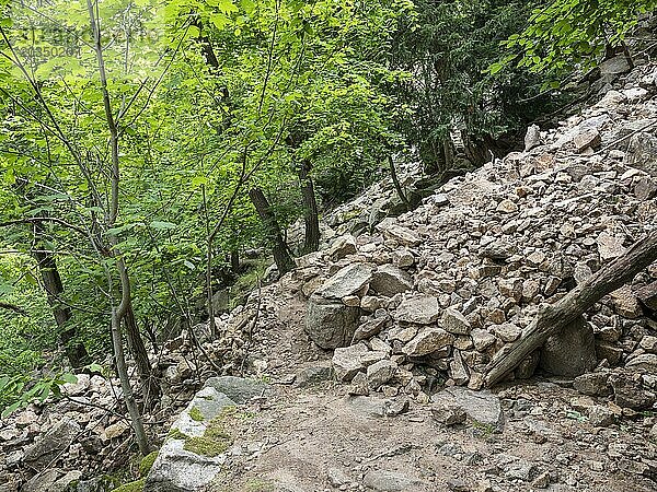 Erdrutsch  Mure  Bergrutsch  Felssturz  Verschütteter Wanderweg im Bodetal zwischen Thale und Treseburg  Nationalpark Harz  Thale  Sachsen-Anhalt  Deutschland  Europa